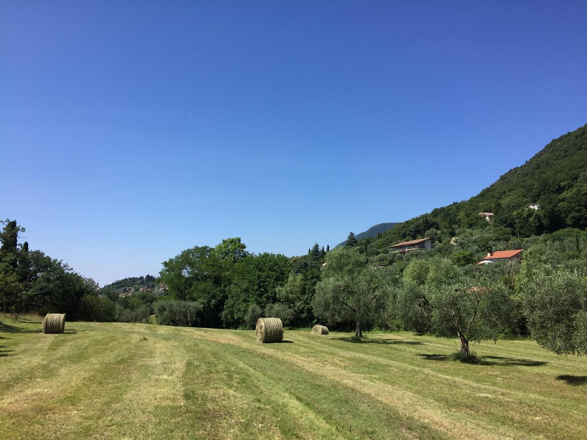 Agriturismo Cervano Toscolano Maderno Buitenkant foto