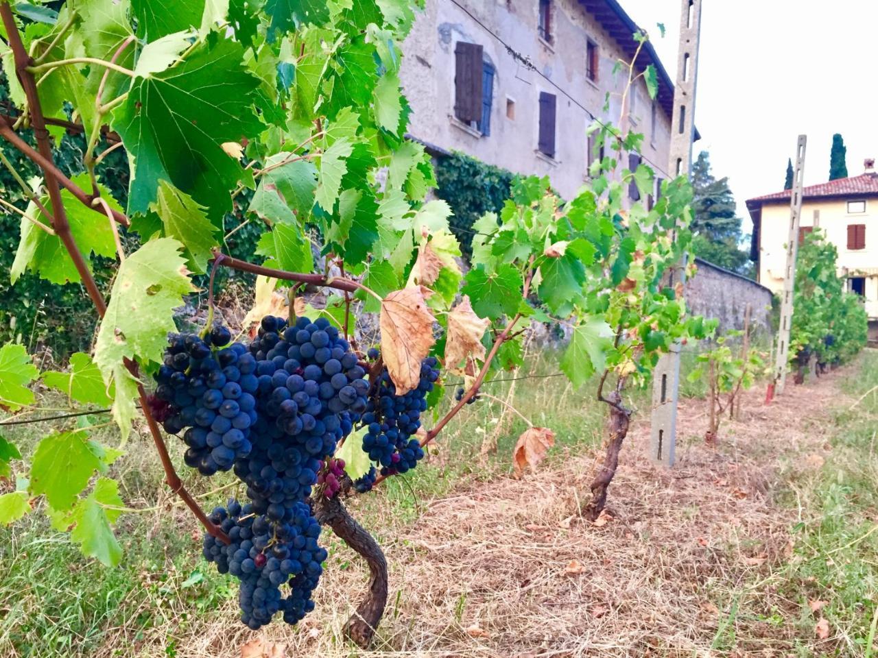 Agriturismo Cervano Toscolano Maderno Buitenkant foto